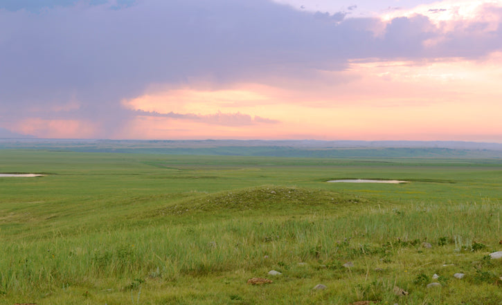 Prairie field against cotton candy sunset