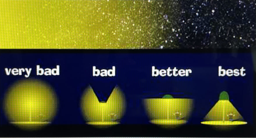 Diagram showing how light impacts species