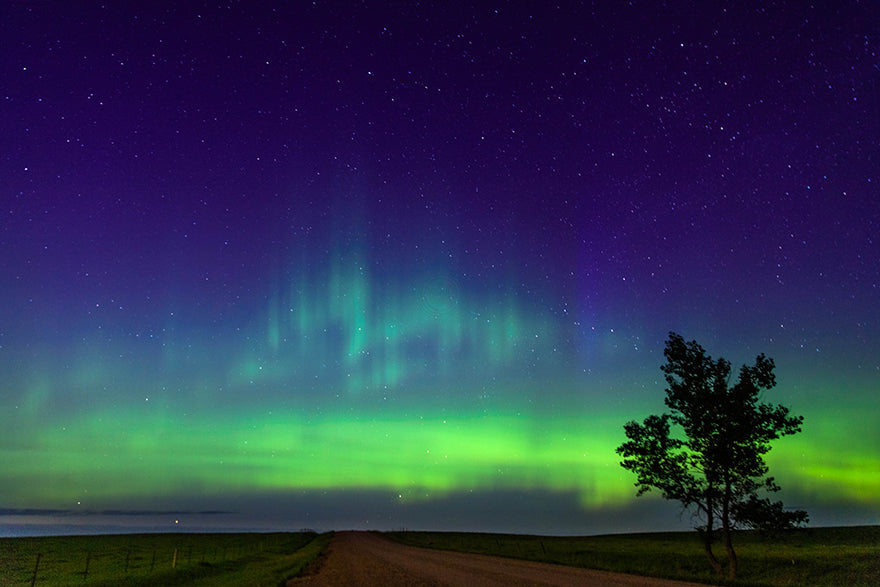 Northern Lights over dirt country road