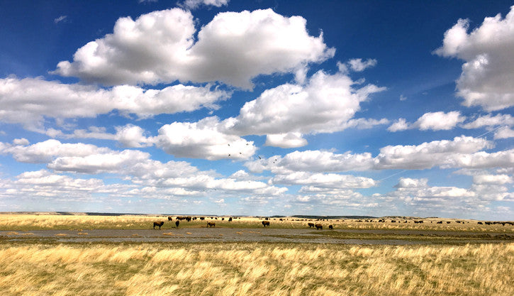 Playa in South Dakota