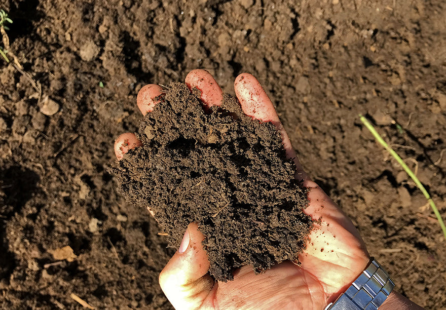 Soil with Compost