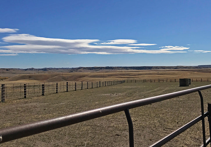 Fenceline on prairie