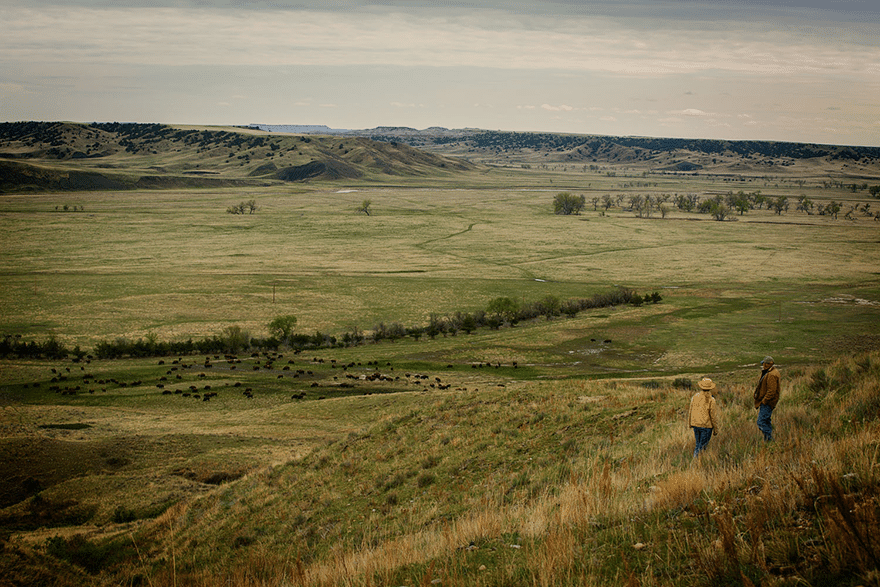 Dan and Jill overlooking prairie grassland