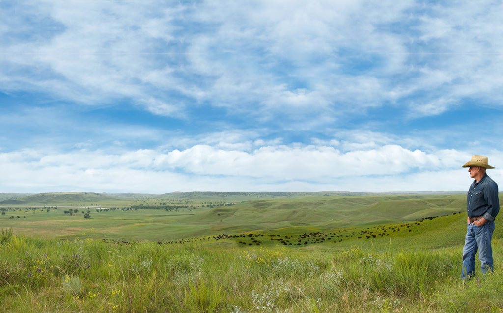 Dan overlooking a prairie bluff