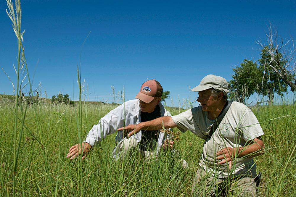 Dan O'Brien & Steave Appelbaum Carbon Study