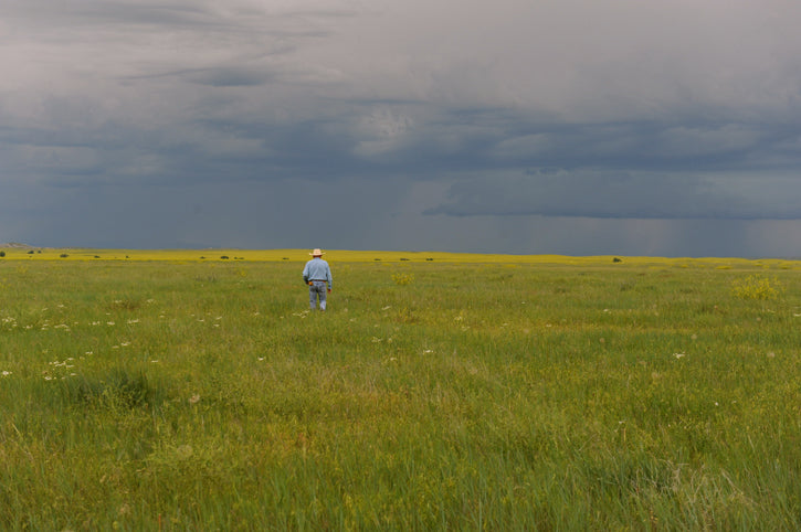 Dan O'Brien walking through prairie