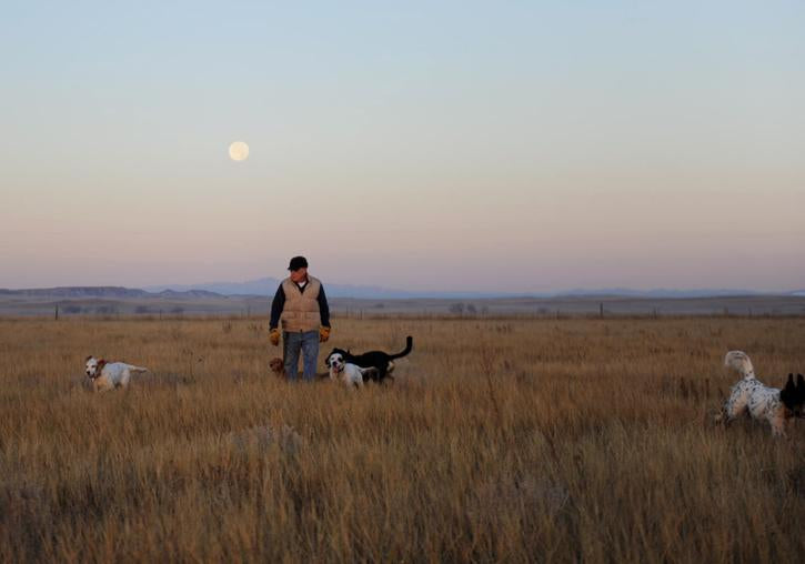 dan walking through prairie surrounded by various dogs