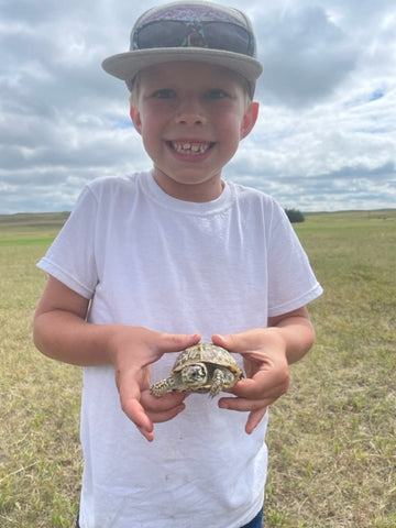 Child holding a turtle