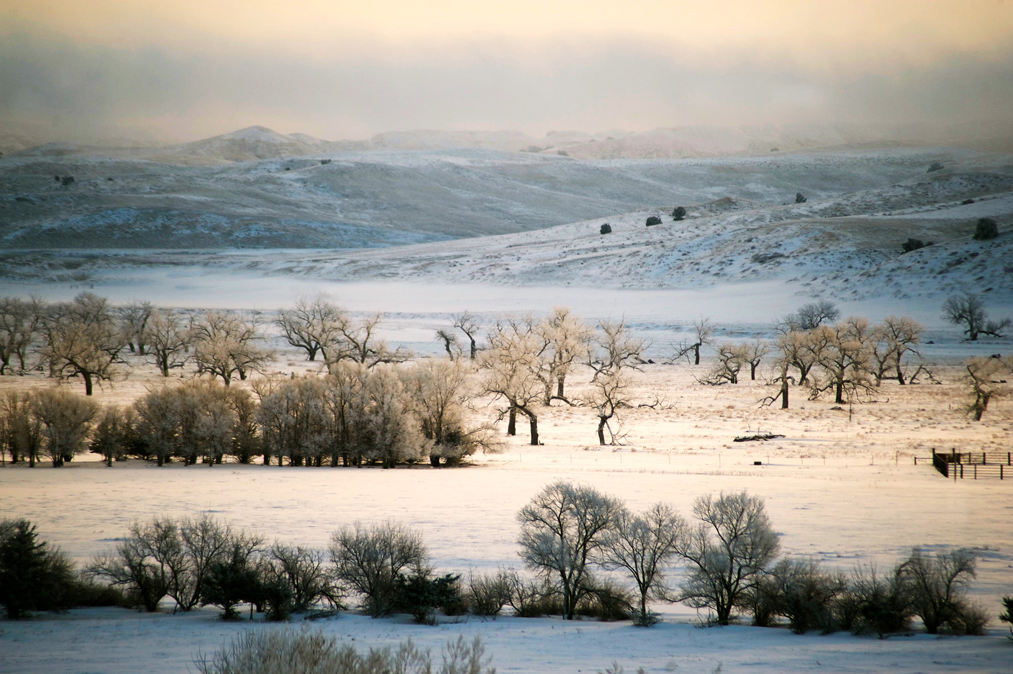 Snow covered prairies