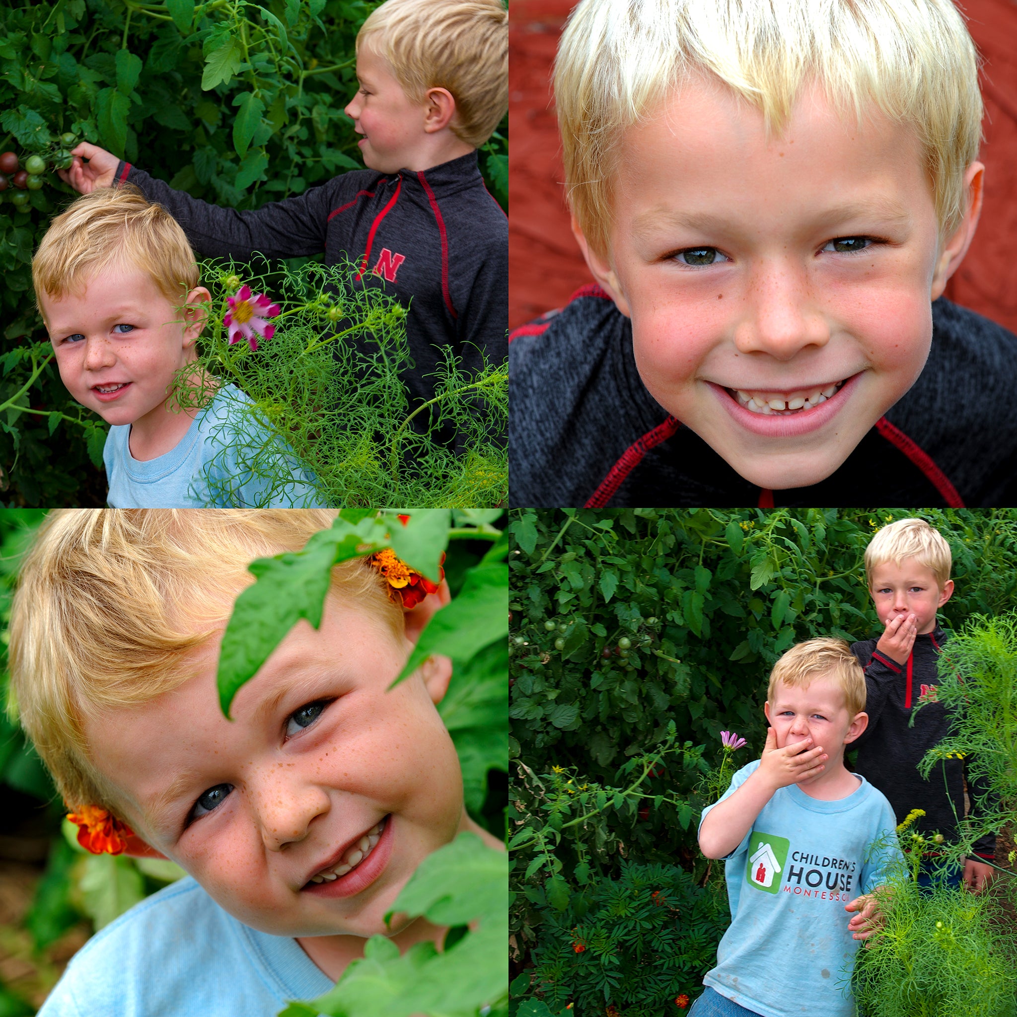 Collage of the Jones children standing among plants in a greenhouse
