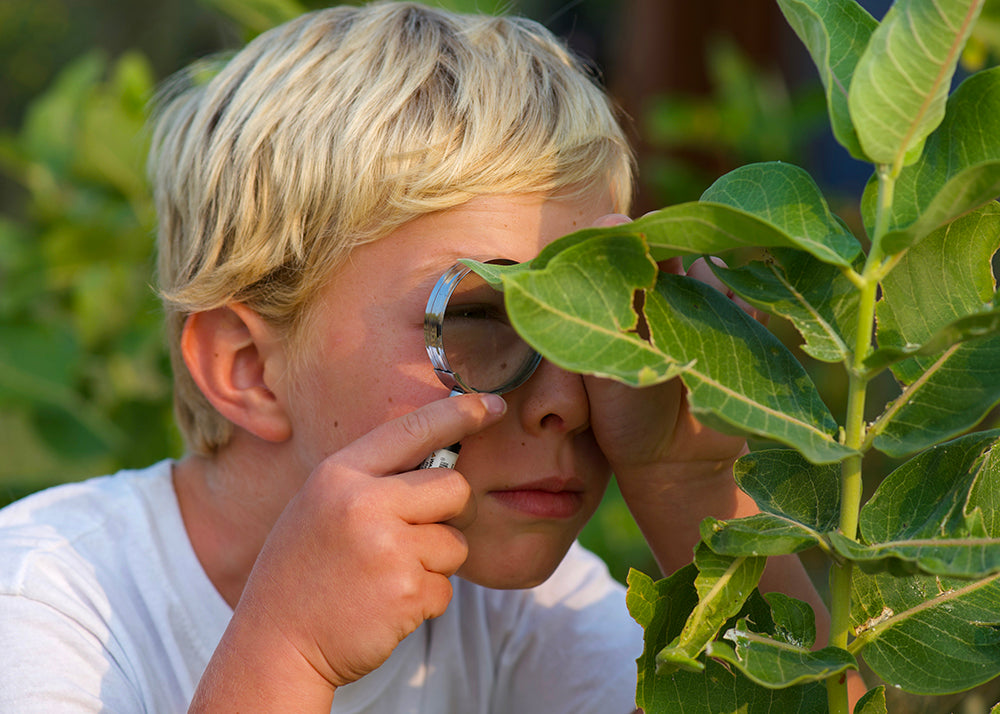 Child using a magnifying glass to look at plants
