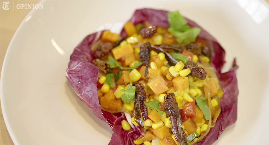 colorful food on a white plate