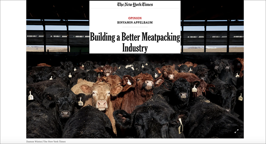 collage of beef industry images
