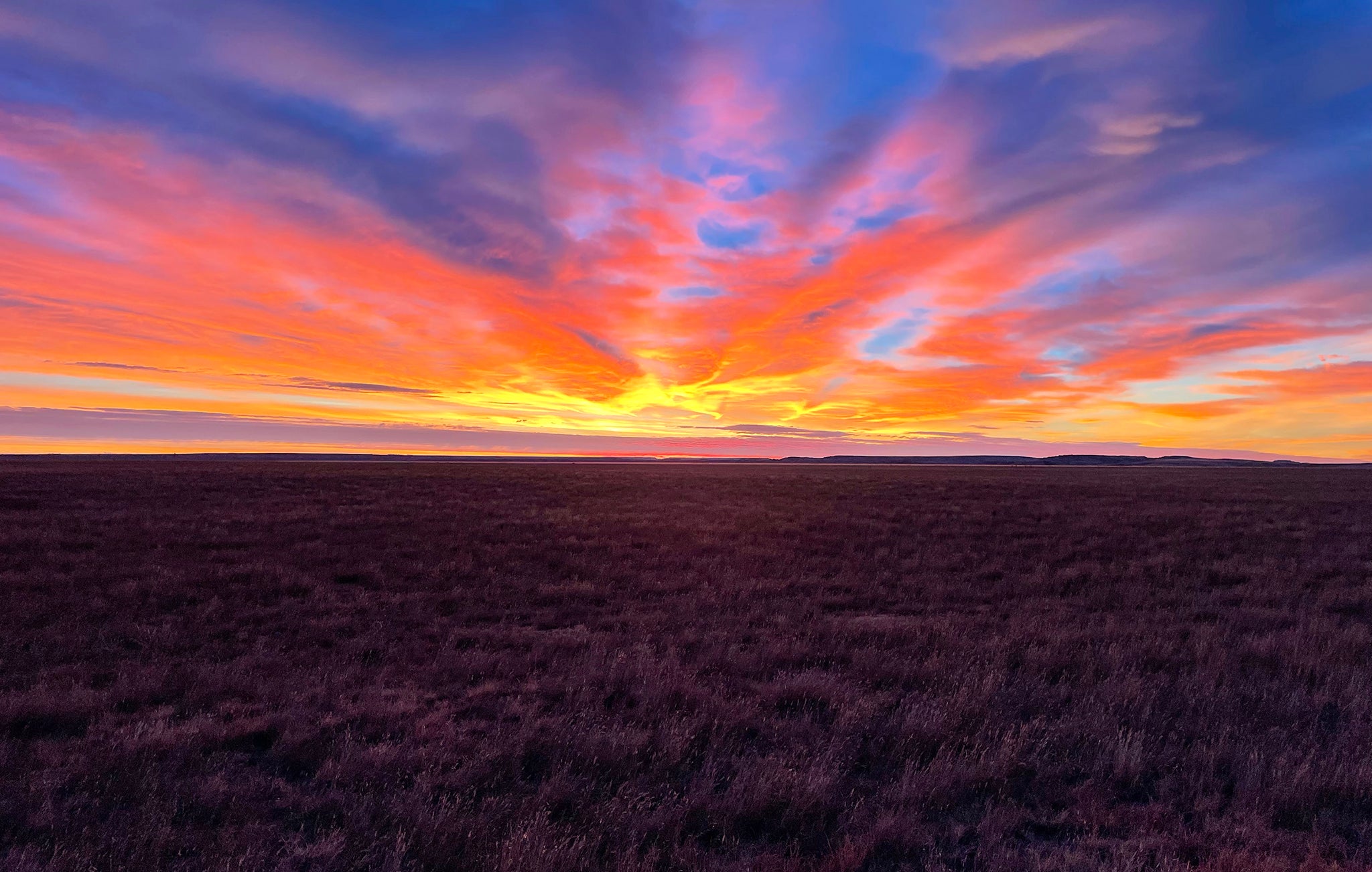 Sunrise over prairie