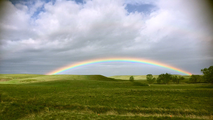 Rainbow over the prairie