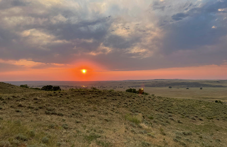 Cheyenne River Buffalo Ranch Bottom Ground.