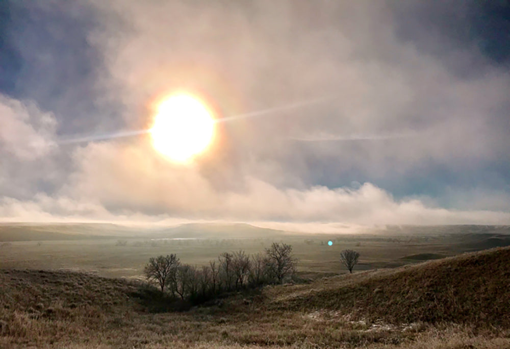 Winter Storm Moving In