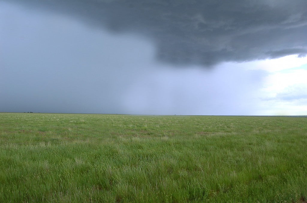 Grass field with storm clouds