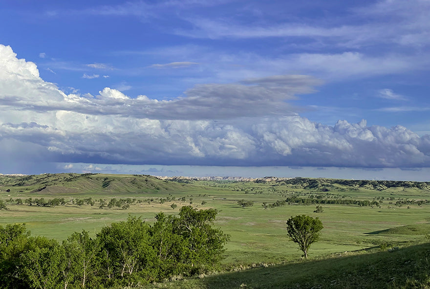 Cheyenne River Buffalo Ranch & Buffalo Gap National Grasslands