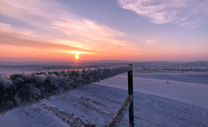 The South Dakota Prairie in Winter