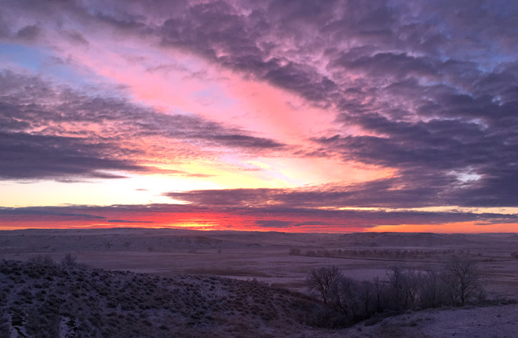 Purple clouds over the prairie