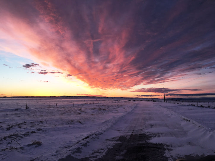 Sunset over snowy ranch road