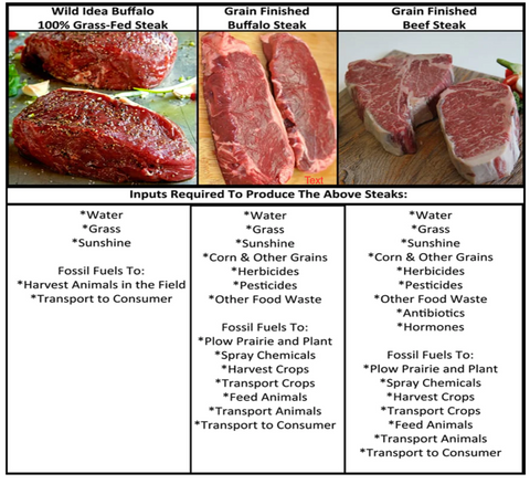 infographic comparing beef to buffalo