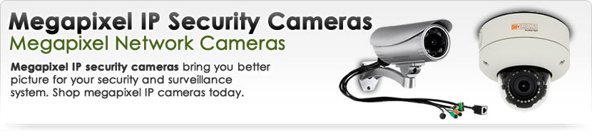 Megapixel IP Security Cameras