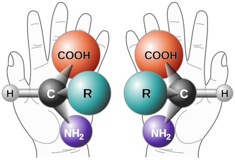 Chirality - Amino acids and nucleotides - Welcome to Truth