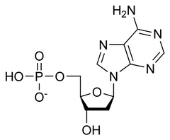 Nucleotide - Welcome to Truth