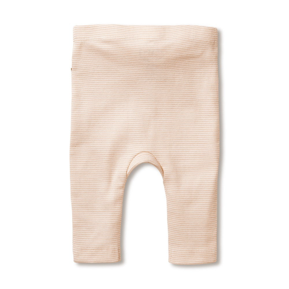 Wilson & Frenchy Organic Olive Rib Legging - CLOTHING-BABY-Baby