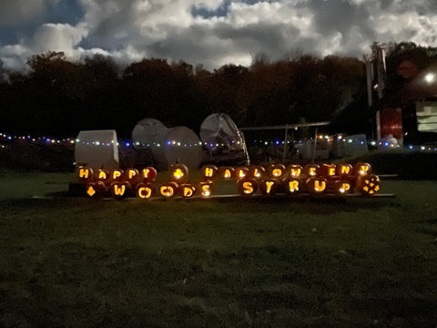 A line of jack o' lanterns carved to say Happy Halloween in a field.