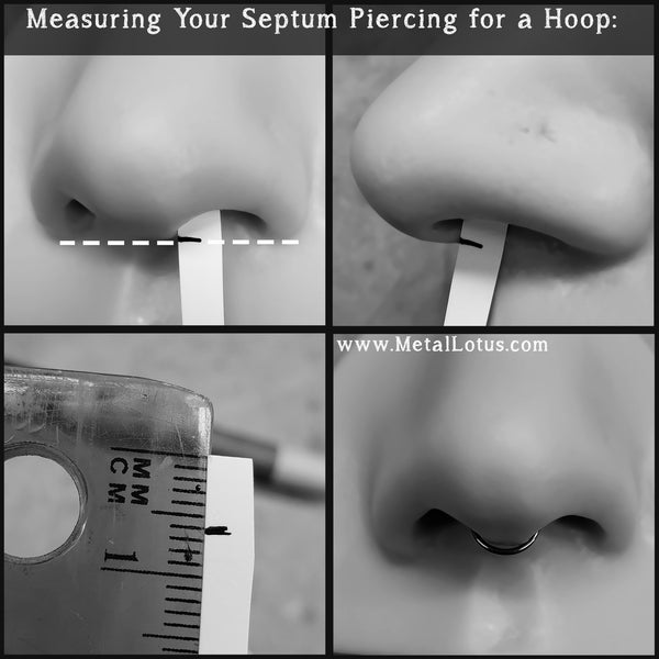 46+ Horseshoe Septum Piercing Size Chart Background