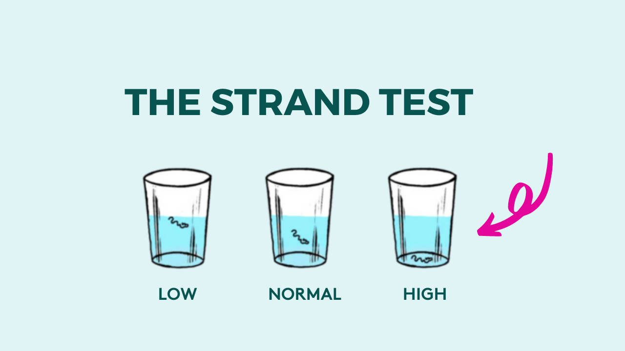 the porosity strand test