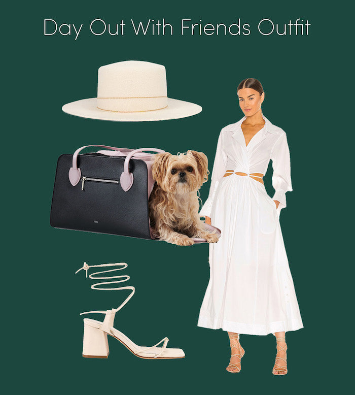 Stylish outfit inspiration for humans and their dogs