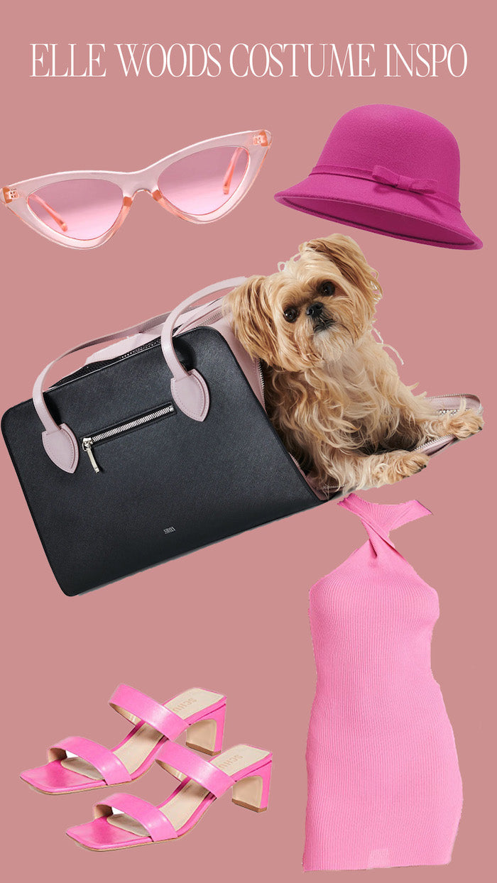Elle Woods outfit inspiration with Shaya Pets
