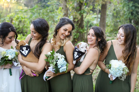 Help dogs get adopted at your wedding.
