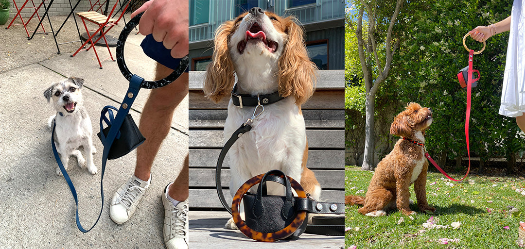 Luxury Leather Leashes