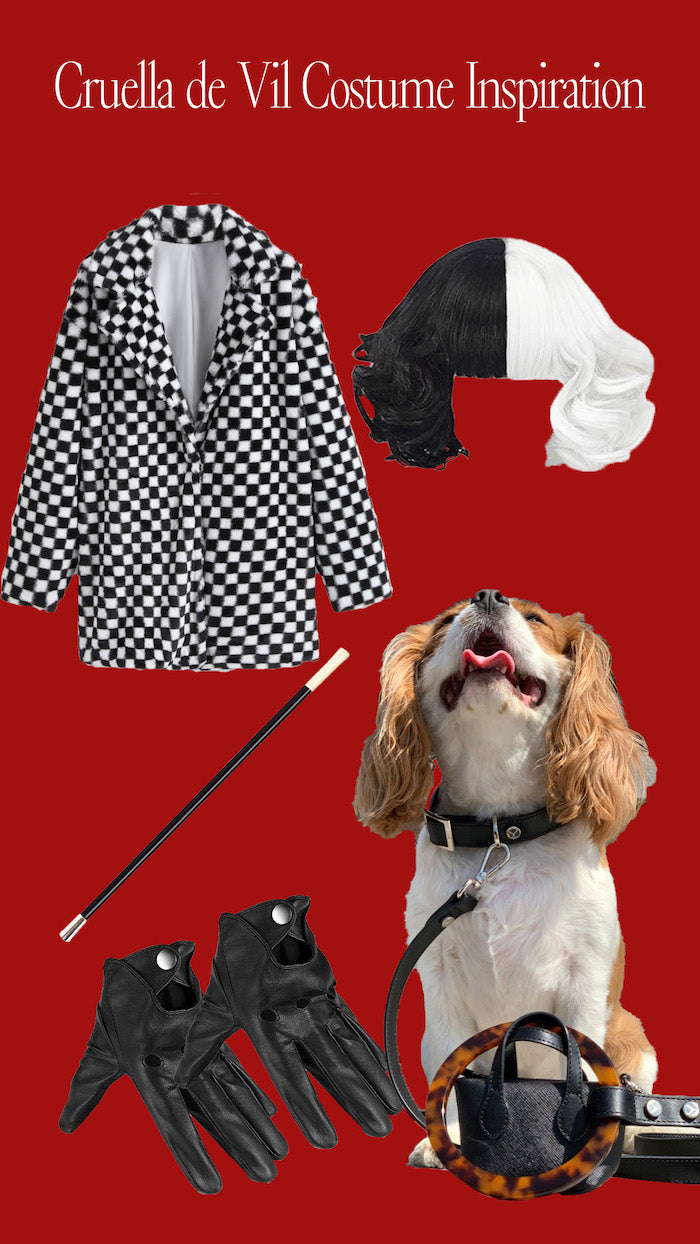 Cruella de Vil outfit inspiration for you and your dog