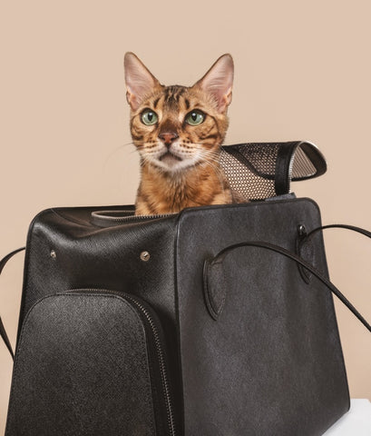 Cat Carrier - Vegan Leather