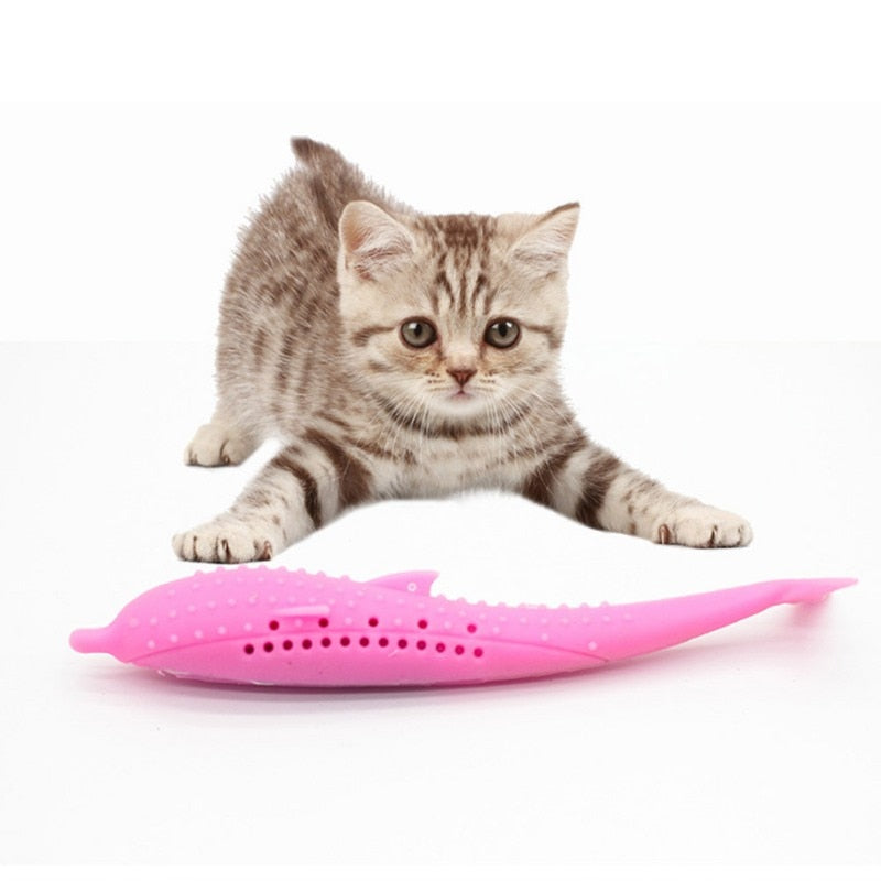 cat dental toy