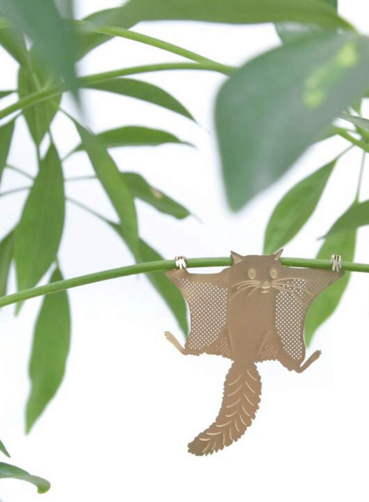 Plant Animal - Flying Squirrel from Another Studio – Nomad and the  bowerbird & Bringing the outside in