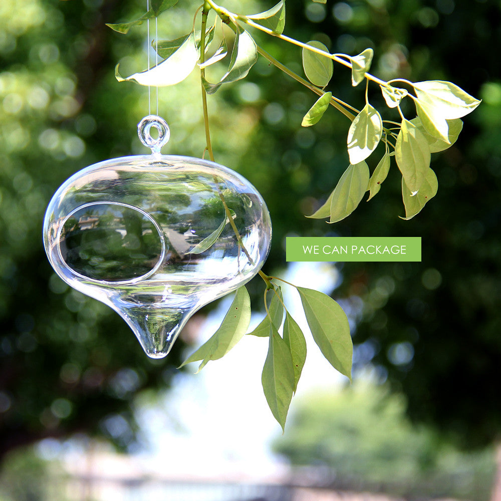 Hanging Glass Globes | Geometric Terrarium Containers | Glass Orbs