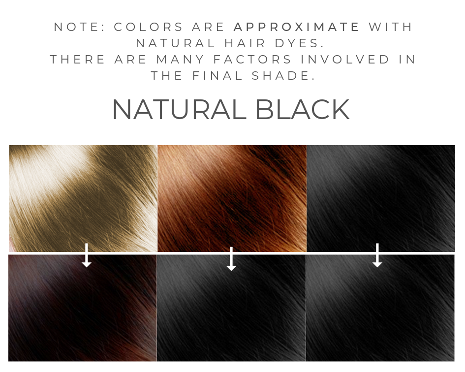 Natural Black Henna Hair Dye 2 Step Naturallyhenna