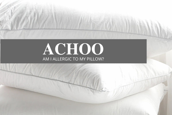 Why You Are Not Actually Allergic To Your Pillow Toile Showroom