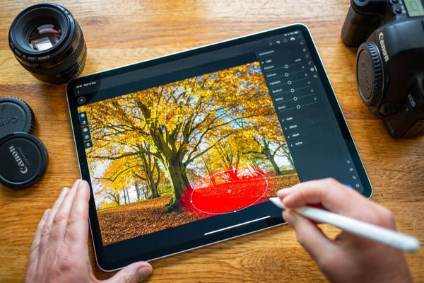 lightroom for ipad cost