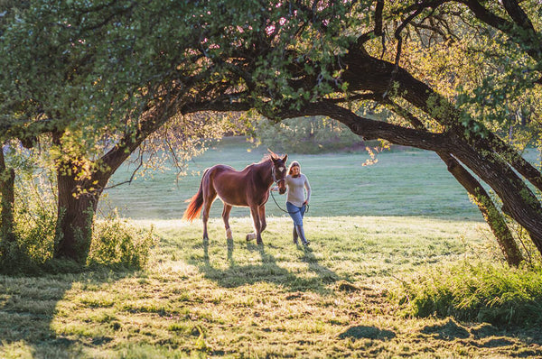 How to Frame in Photography (Using Scenic Elements) - Pretty Presets