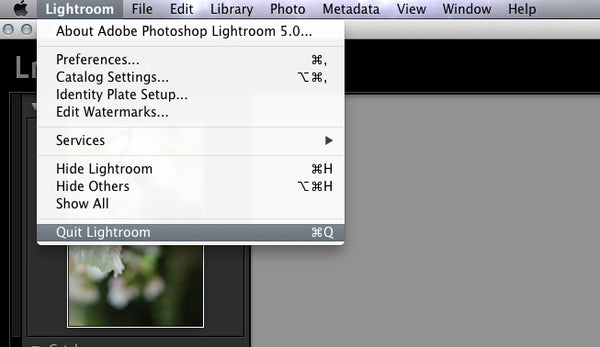 How to install brush presets in Lightroom CC
