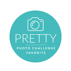 Pretty Photo Challenge Favorites