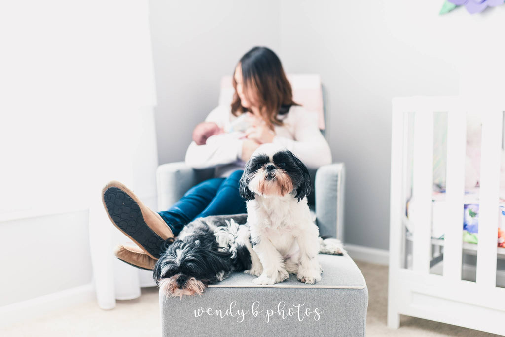 Mother rocking baby with two dogs sitting near her | Quiet Time Photo Challenge